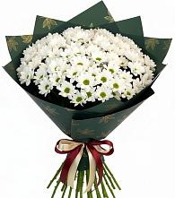 Букет цветов из:  Хризантемы #REPLACE_PRED# Глинково